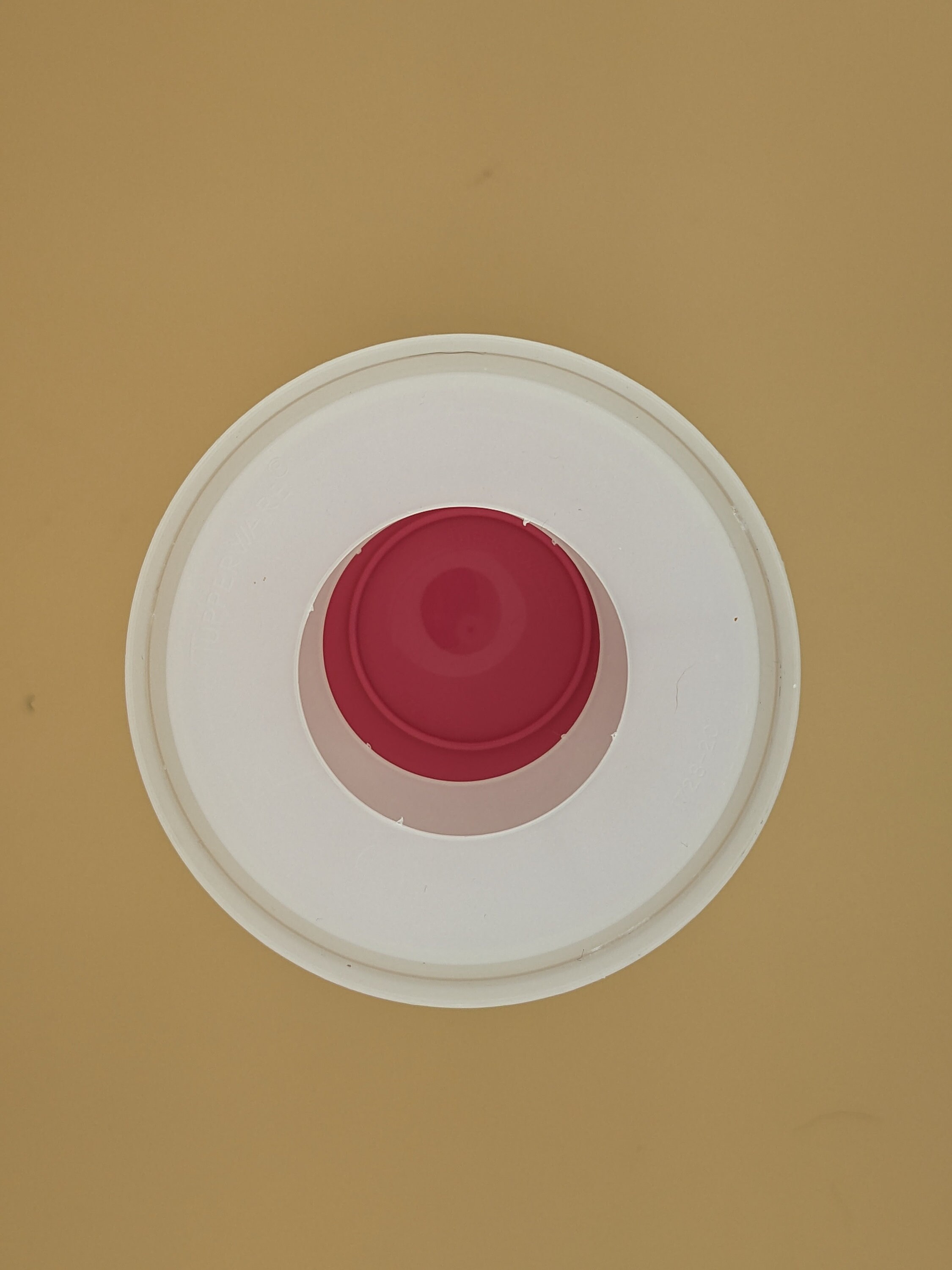 ヴィンテージ タッパーウェア アイスクリームサンドイッチメーカー