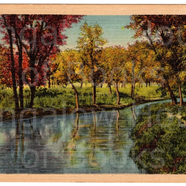 Fall Trees Winding River Souvenir Vintage 1940s Linen Postcard Journal Ephemera Genuine Curteich-Chicago C.T. Art-Colortone