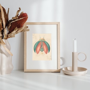 May include: A framed print of a vintage illustration of a green and red beetle with intricate details. The beetle is surrounded by a delicate floral pattern.