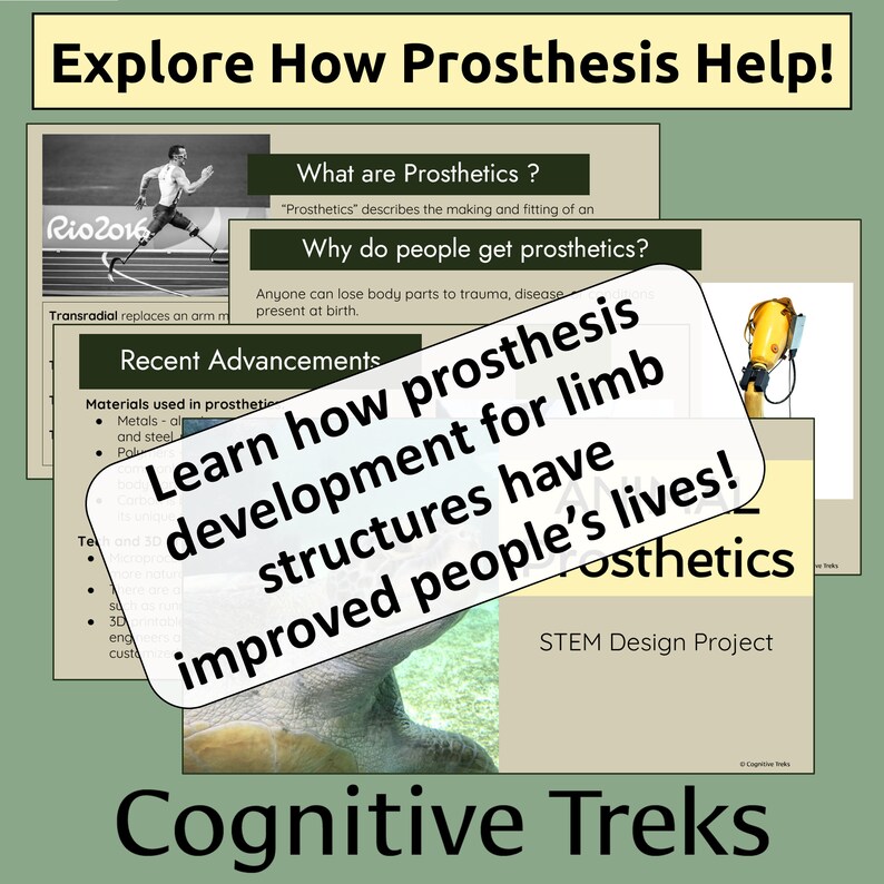 STEM Ecology Project | Design an Animal Prosthetic | Science ...