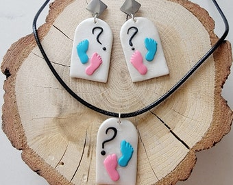 Gender Reveal Party Baby Shower Earrings Pink Blue Girl Boy Necklace Nursery Baby Party Gift Ideas Fun Jewelry Gender Guess Baby