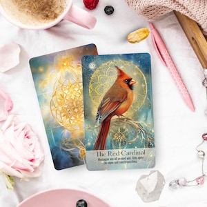 Red Cardinal oracle card displayed with pink flowers and crystals on marble surface
