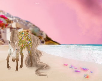 Seashells