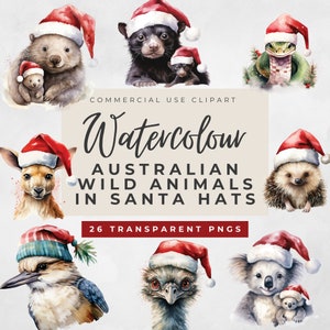Aquarell australische Weihnachten wildes Tier PNG, niedliches Tier Clipart, Koala, Känguru, Schlange, Wombat, kommerzielle Nutzung, Nikolausmütze Bündel