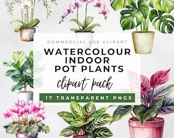 17 plantes d’intérieur clipart, Aquarelle House Plant Png, Utilisation commerciale, aquarelle plantes en pot d’intérieur bundle, Monstera, Fiddle Leaf Fig PNG