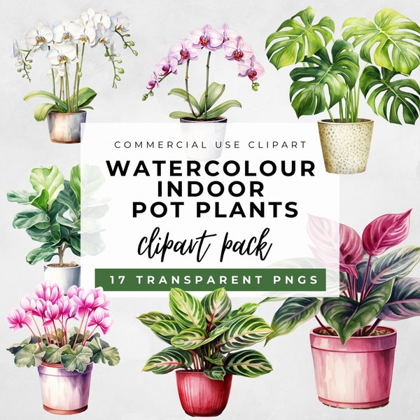 17 indoor plants clipart, Watercolour House Plant Png, Commercial Use, watercolor indoor potted plants bundle, Monstera, Fiddle Leaf Fig PNG