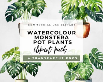 Clipart de plante d'intérieur Monstera, aquarelle plante d'intérieur Png, usage commercial, lot de plantes en pot aquarelle monstera d'intérieur, plante de fenêtre