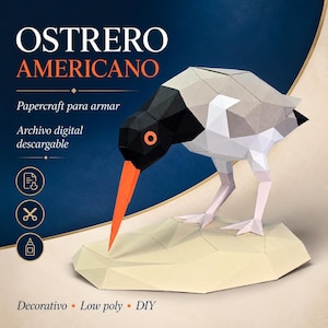 Puede incluir: Un modelo de papercraft low-poly de un ostrero americano con cabeza negra, pico naranja y cuerpo gris y blanco sobre una base beige. El texto dice OSTRERO AMERICANO, Papercraft para armar y Archivo digital descargable.