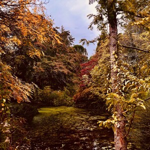 De kracht van de natuur