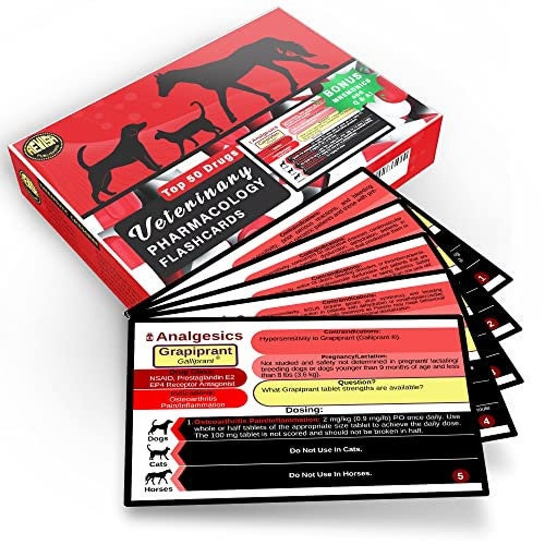 Veterinary Pharmacology Flashcards INSTANT DOWNLOAD Printable