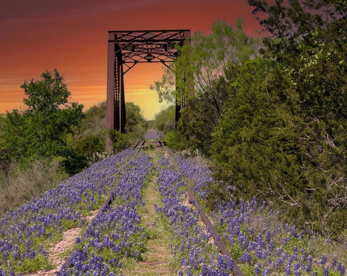 Railroad Bridge 2 Vibrant Spring Wildflowers, Blooming Wildflower Field Photography, Nature I Springtime Floral Print Home Decor