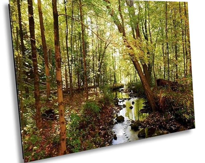 Connecticut Brook View Photography Print, Fall Foliage Landscape Decor,Autumn Forest Nature Rustic Stream Canvas Wall Art for Home or Office