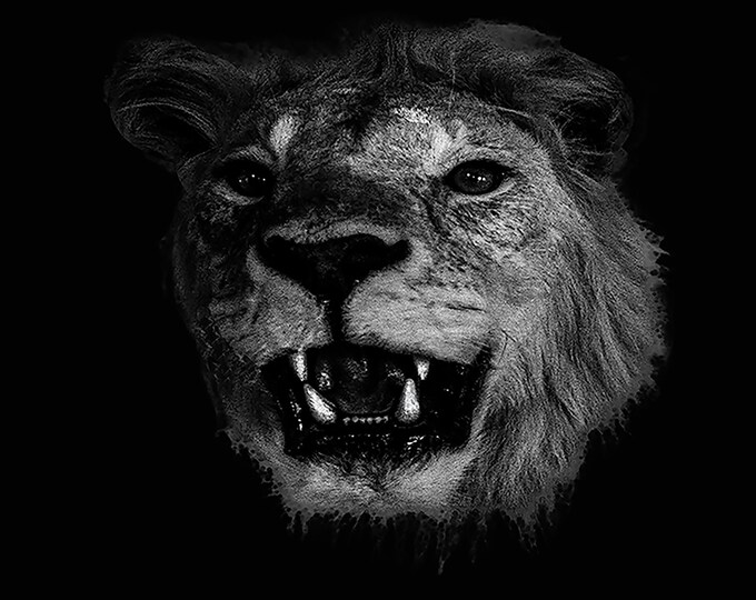 The Lion Wall Art Print - Black And White Lion Canvas, Wildlife Animal Photography - Artwork for Office, Home Room or Modern Farmhouse Decor
