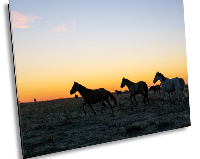 One More Wild Horse Stampede Canvas, Spooked Horses Running in Open Field, Stunning Nature Photography Wall Art for Office or Home Decor