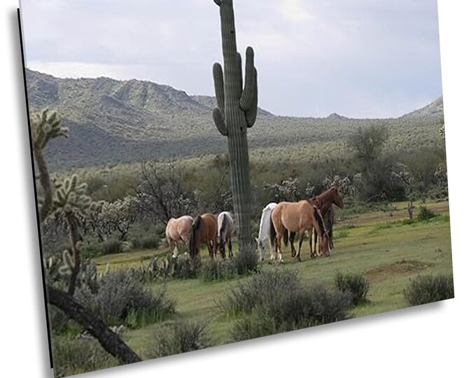 Gather Around the Cactus in Serene Field - Arizona,  Salt River, Wildlife, Western Nature Photography Artwork for Office or Home Wall Decor