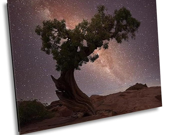 Tree with Milkyway Phot Print, Arches National Park Sky Canvas Wall Art, Tree Silhouette Against the Night Sky, Astrophotography Print Decor