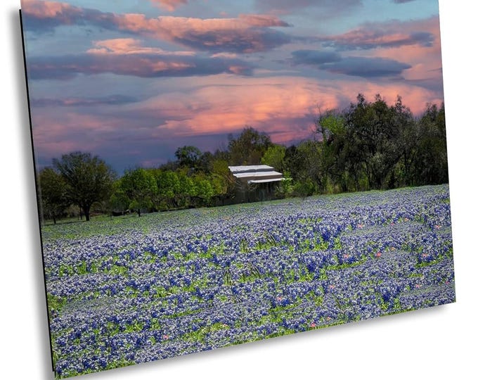 Bluebonnet Galore Spring Wildflowers Wall Art, Vibrant Blooming Field Photography, Texas Nature Art, Springtime Floral Print for Home Decor