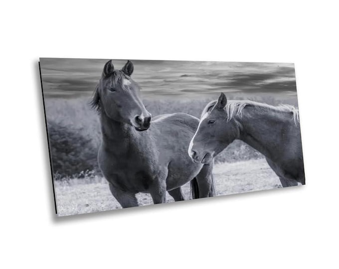 Mares racing in Serene Horse Field - Wildlife Animal Art Canvas Print, Western Nature Photography Artwork for Office or Home Wall Decor