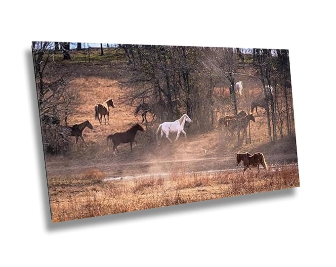 Exhilarating Wild Horse Stampede Canvas, Spooked Horses Running in Open Field, Stunning Nature Photography Wall Art for Office or Home Decor