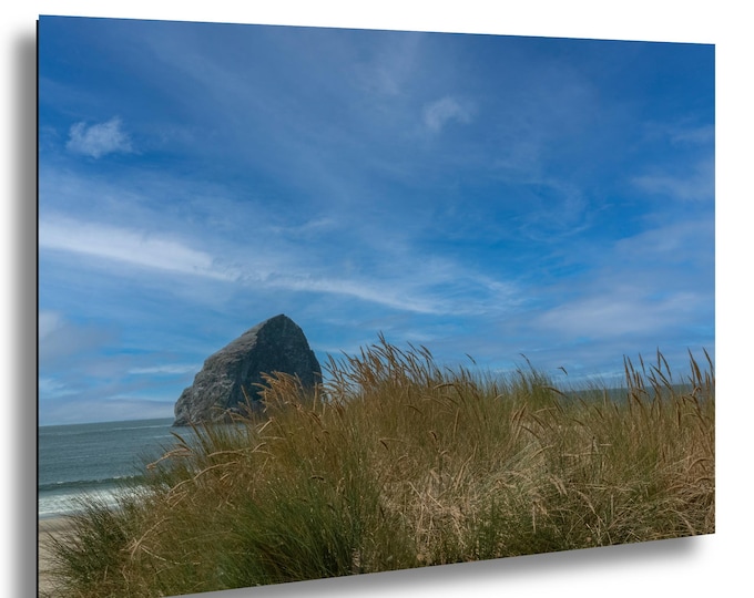 Sea Grass and ocean rock, landscape, wall photo, ocean, peaceful vie