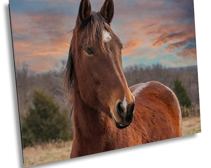 Beautiful Mare in Serene Field - Wildlife Animal Art Canvas Print, Western Nature Photography Artwork for Office or Home Wall Decor