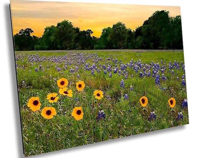 Must Be Spring, Texas Bluebonnets Canvas Print, Spring Wildflowers Photography, Southwestern Floral Nature Wall Art for Office or Home Decor