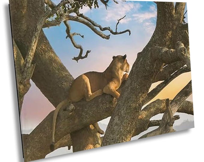 Lion in Tree Wall Art Canvas Print, Safari Landscape Jungle Photography Wall Decor,African Wildlife Modern Nature Home Room Wall Photo Decor