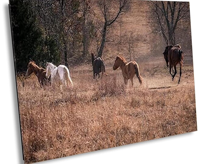Another Wild Horse Stampede Canvas, Spooked Horses Running in Open Field, Stunning Nature Photography Wall Art for Office or Home Decor