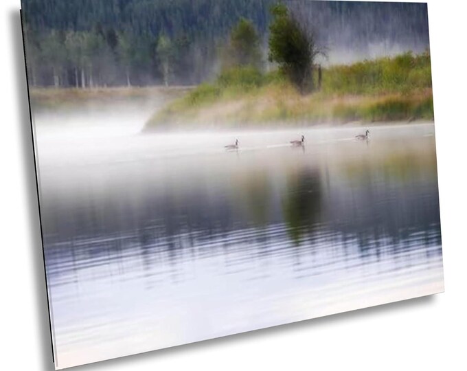Ducks at Oxbow Bend with Misty Calm Waters Photo Print, Peaceful Tetons in Background Wall Art, Morning Scenic View Art Landscape Room Decor