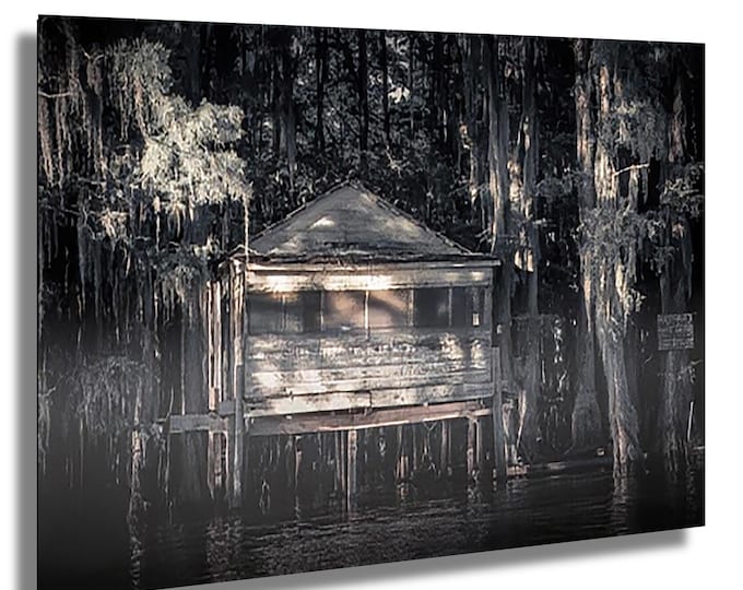 Speak Easy in Caddo Lake, sunset photo, cypress tree,  sun rays