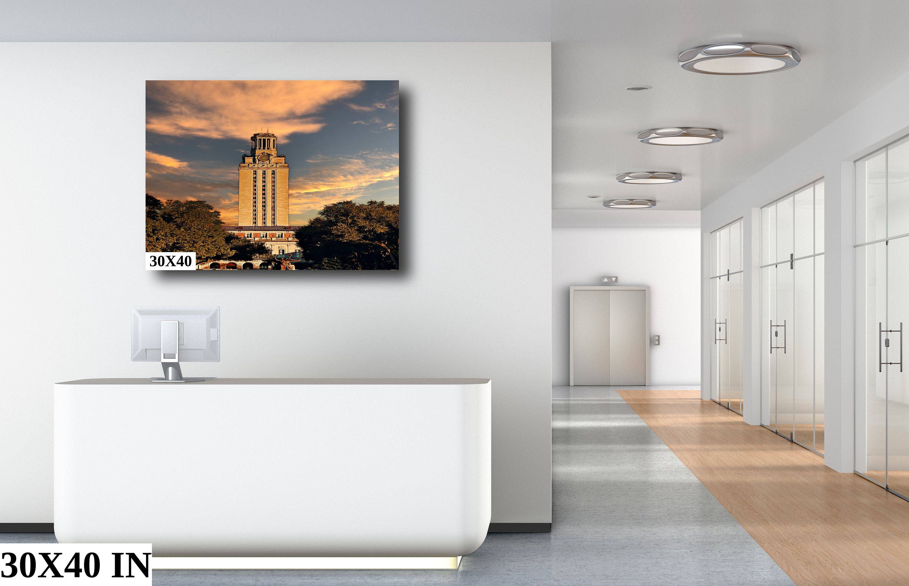 Ut Austin Canvas