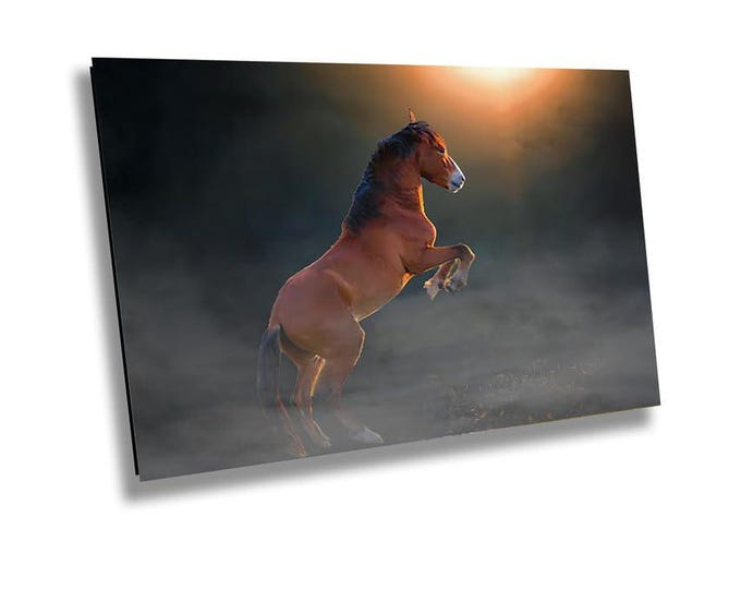 Bucking Mare, Fiesty - Wildlife Animal Art Canvas Print, Western Nature Photography Artwork for Office or Home Wall Decor