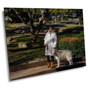 City Park Aerial Print: Dog Walker, Downtown Lights