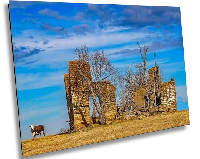 Cow at School Canvas, Captivating Rural Landscape Photo Print, Country Nature Photography, Wildlife Animal Wall Art Decor for Home or Office