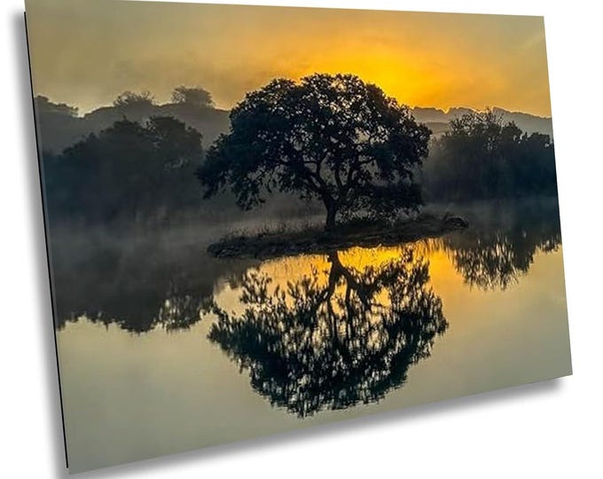 Palmer Pond, sunrise, sun behind tree, water