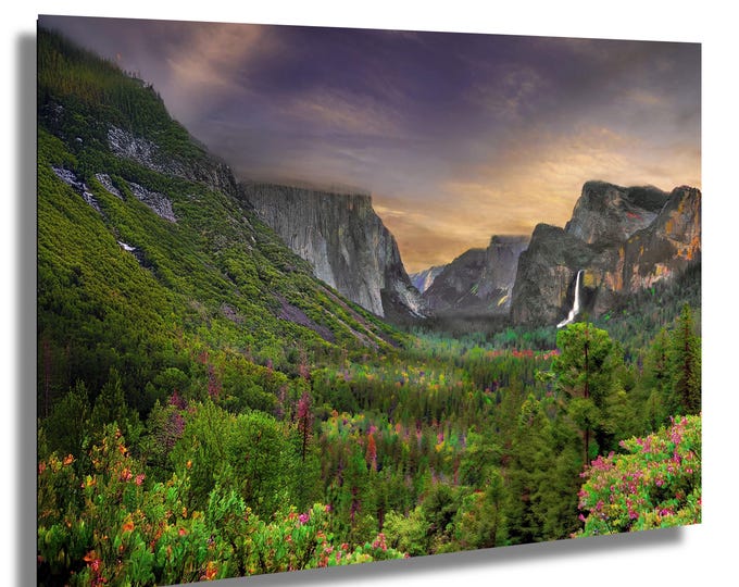 The Yosemite Tunnel with flowers, California, wall art