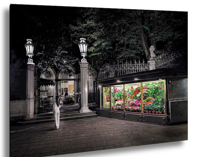 midnight-nightgarden-Venice-fine-art-photo