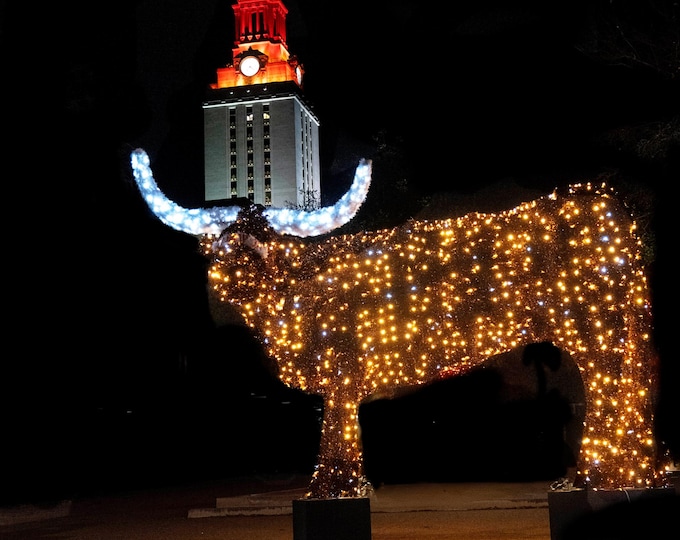 Texas Longhorn's Bevo, Canvas Wall Art, American Football Stadium Photography Print, Sport Wall Art for Home or Office Room Decor