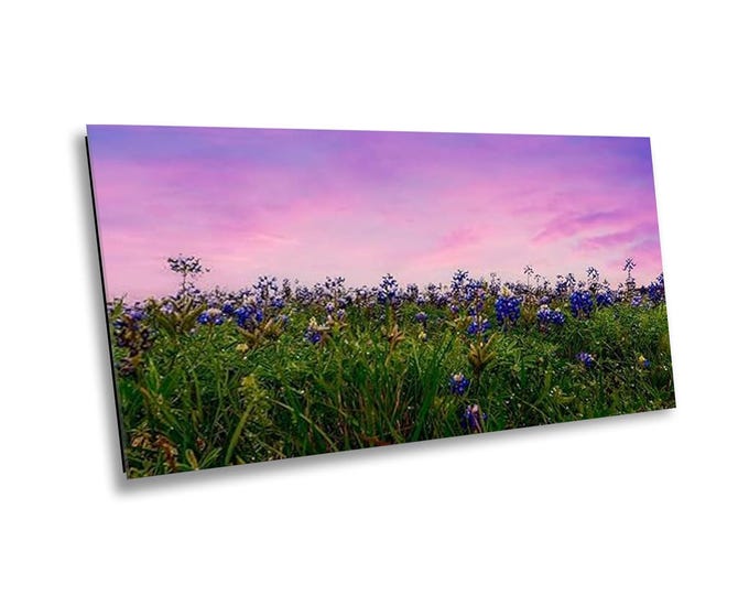 It Must Be Spring 2 - Texas Bluebonnets Canvas Wall Art of Spring Blooms - Majestic Flower Photography Print for Office or Home Room Decor