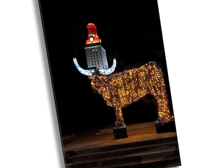 Texas Longhorn's Bevo, Canvas Wall Art, American Football Stadium Photography Print, Sport Wall Art for Home or Office Room Decor