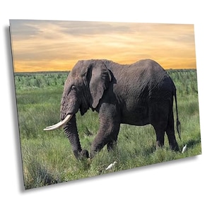 Elephant Jungle Safari Wall Art - African Wildlife Decor for Living Room, Nursery, or Office - Nature Safari Animal Canvas Photo Print