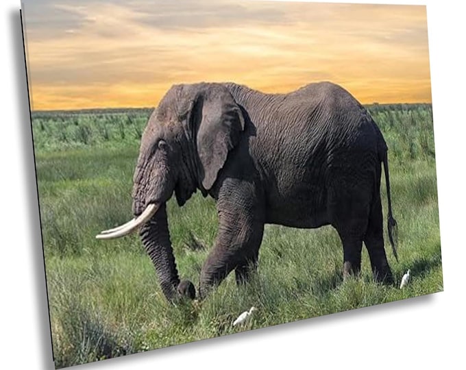 Elephant Jungle Safari Wall Art - African Wildlife Decor for Living Room, Nursery, or Office - Nature Safari Animal Canvas Photo Print