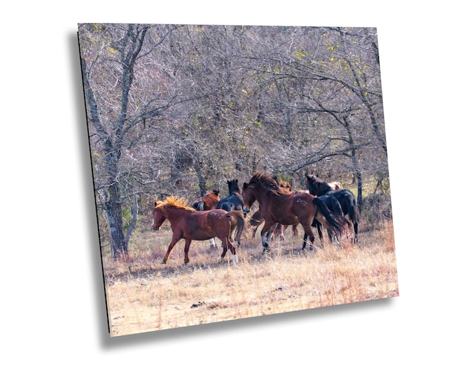 On The Move Horses Herd Wall Art, Stunning Wildlife Horse Canvas Print, Animal Nature Photography Wall Art for Office or Home Room Decor