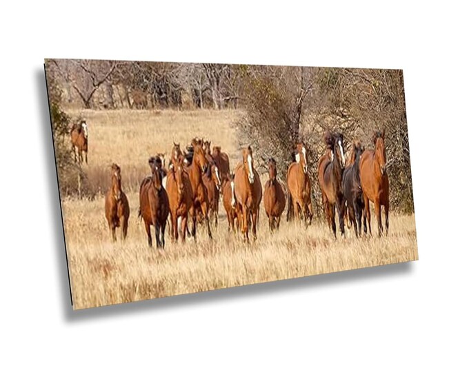 Charging Uphill Horses Wall Art, Running Horse Western Style Picture Print, Wildlife Animal Artwork for Office or Home Room Decor