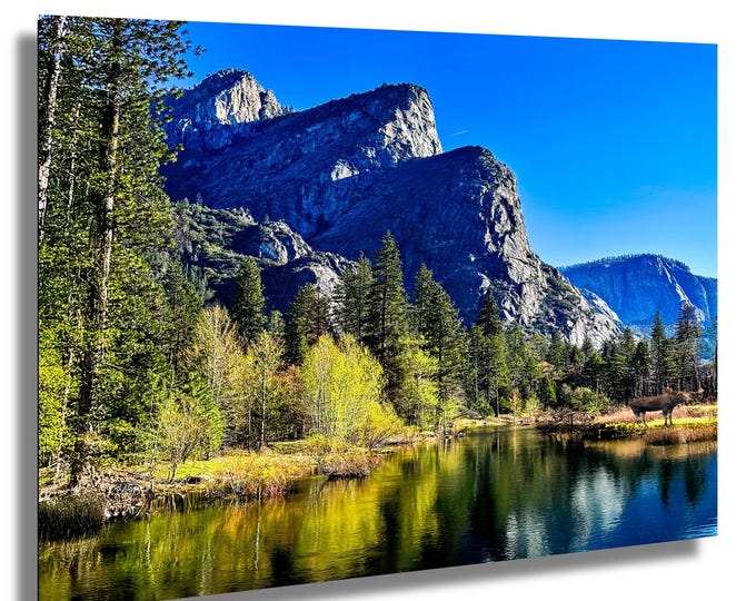 Three Sons Mountain, moose, Yosemite, California, wall art