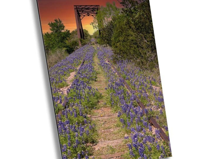 Railroad Bridge 2 Vibrant Spring Wildflowers, Blooming Wildflower Field Photography, Nature I Springtime Floral Print Home Decor