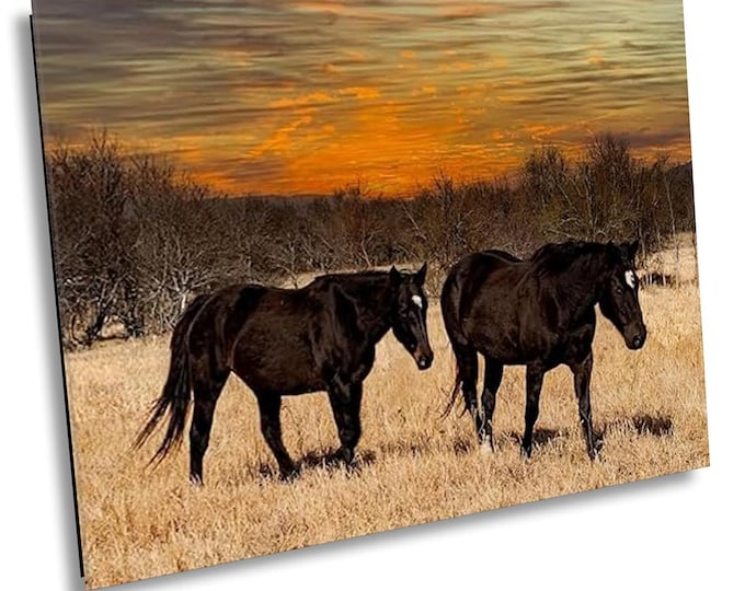 Two Black Mares Canvas Print, Wildlife Animal Photography Artwork, Scenic Outdoor Wall Art Picture for Office or Home Room Decor