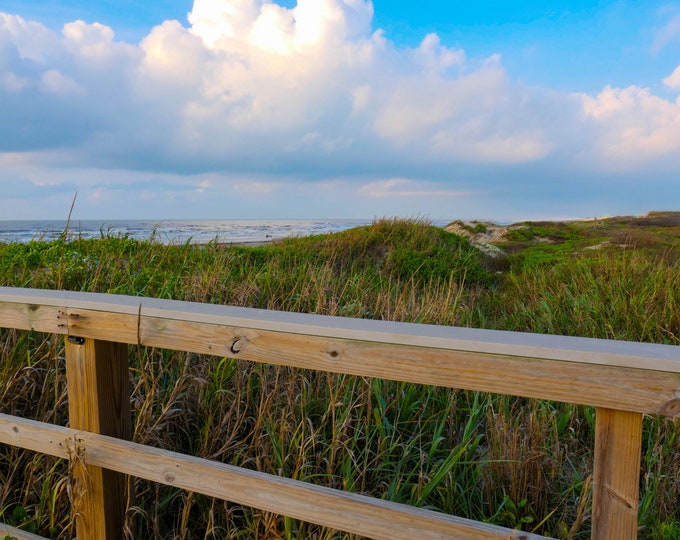 Port Aransas Walkway Photo Print, Gulf of Mexico Beach View Greenery Photography, Springtime Texas Art for Home, Beach House Coastal Decor