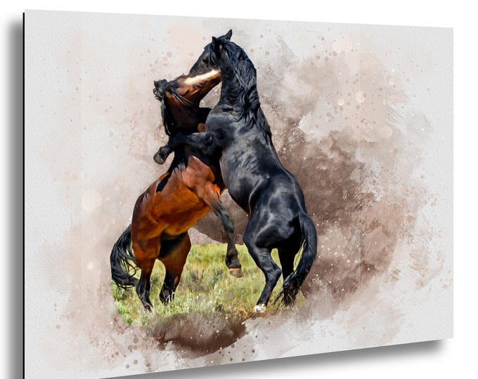 Horse Fight, Herd Ritual, Maybe Just Playing