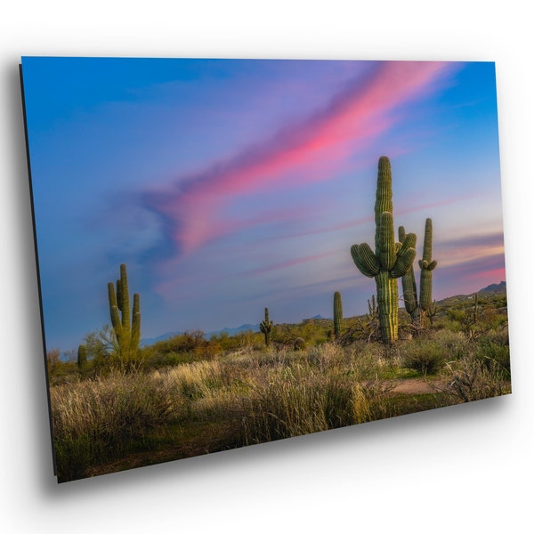 Pink Tranquility Desert Sunset - Image with Saguaro Cactus near McDowell Mountain Arizona Trail Print Photography Gift with Frame Options